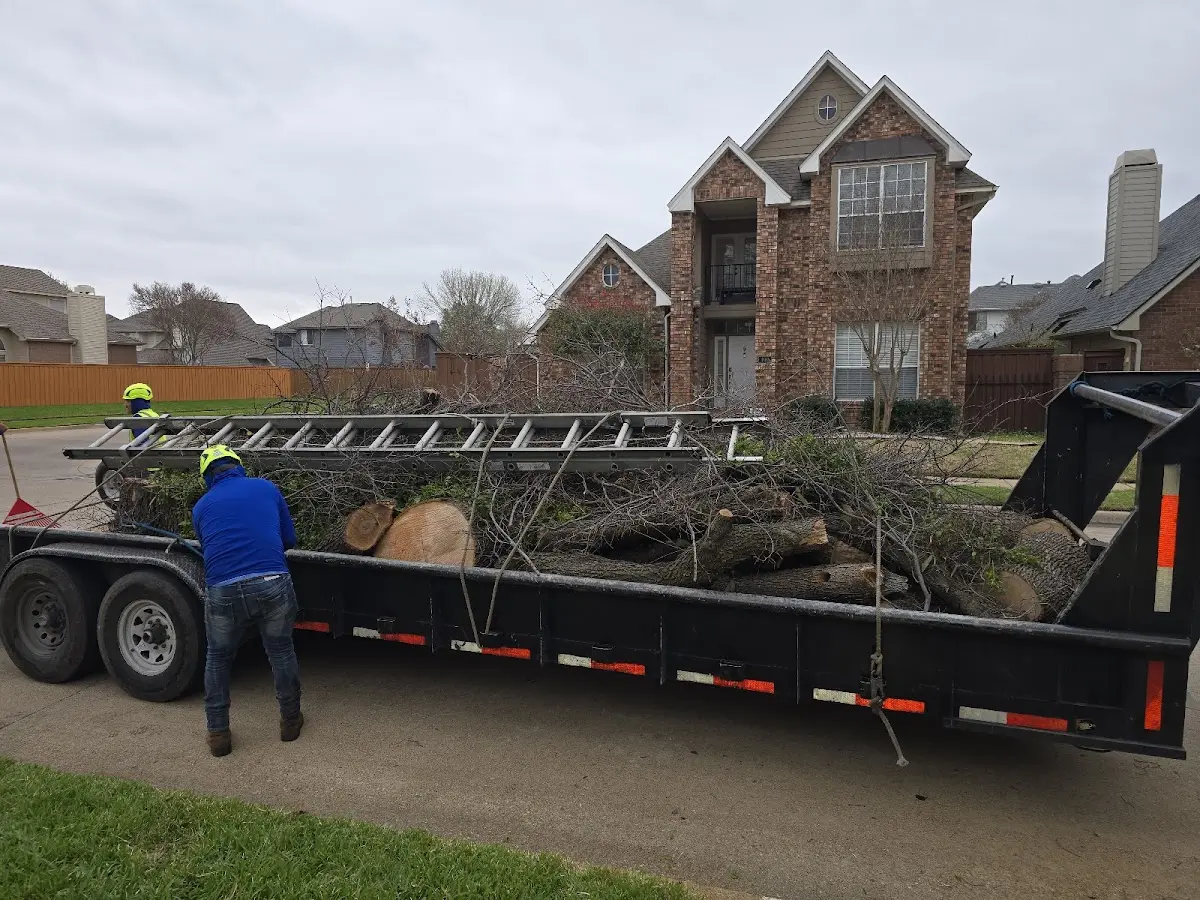 Expert Tree Fertilization with proper safety equipment in Steele